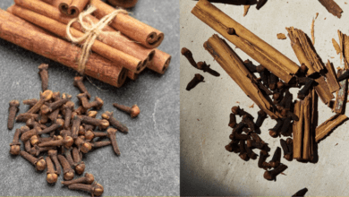 the-powerful-combination-of-cloves-and-cinnamon:-triggering-beneficial-body-reactions