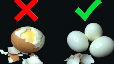 how-to-boil-eggs-perfectly:-easy-to-peel-and-no-cracks