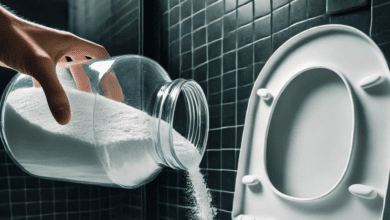 limescale-in-the-toilet:-you-already-have-the-strongest-natural-descaler-at-home!