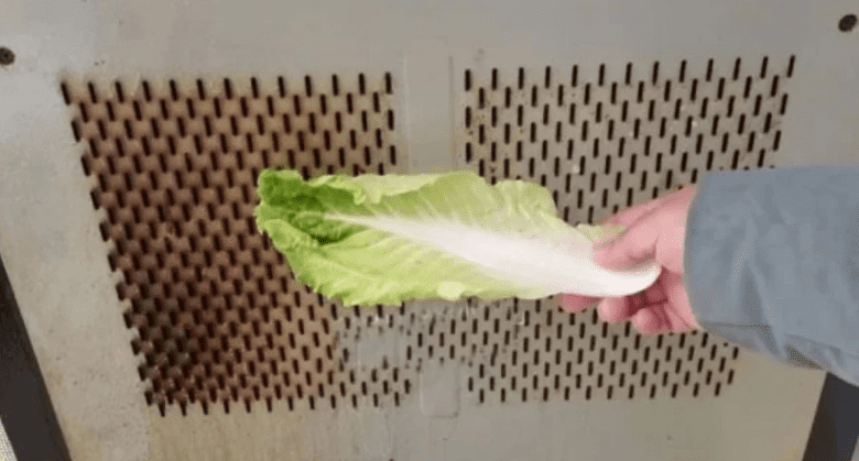 cleaning-the-hood-without-disassembling,-just-a-piece-of-cabbage-leaf-will-make-it-clean-as-new