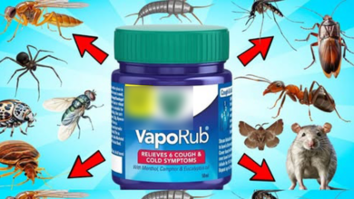 vicks-vaporub-hack-for-pest-removal:-natural-and-effective