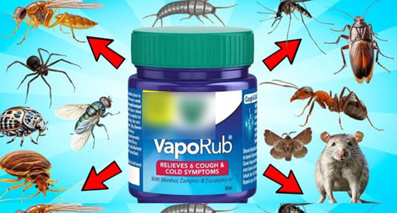 vicks-vaporub-hack-for-pest-removal:-natural-and-effective