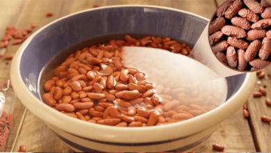 why-you-should-soak-beans-overnight-before-cooking