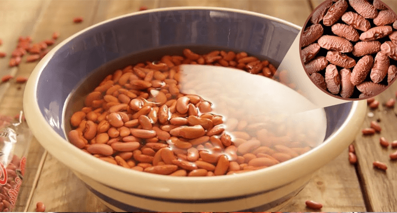 why-you-should-soak-beans-overnight-before-cooking