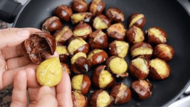 boiled-chestnuts:-an-easy,-healthy-and-tasty-snack-for-autumn-evenings