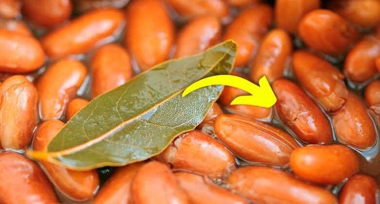 this-is-why-you-should-always-put-a-bay-leaf-in-your-soup