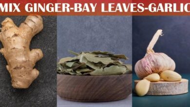 the-powerful-health-benefits-of-ginger,-bay-leaves,-and-garlic