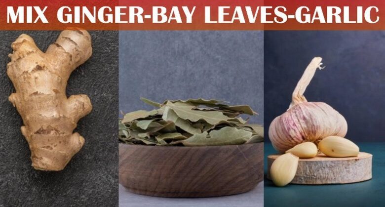 the-powerful-health-benefits-of-ginger,-bay-leaves,-and-garlic