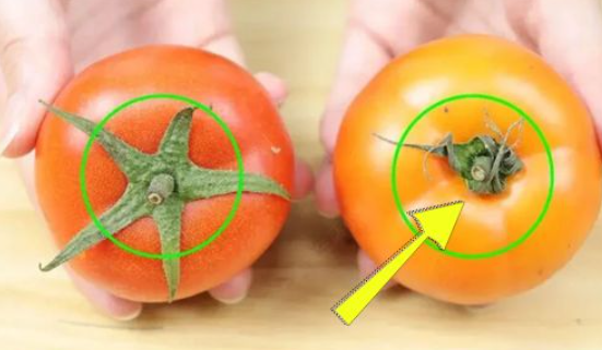 how-to-easily-spot-the-difference-between-naturally-ripened-and-chemically-treated-tomatoes