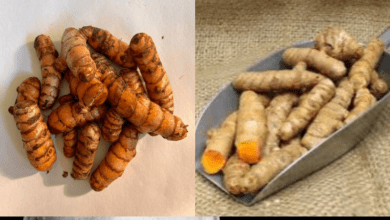 turmeric:-the-secret-to-a-healthy-thyroid