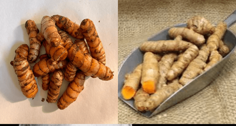 turmeric:-the-secret-to-a-healthy-thyroid