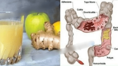 revitalize-your-body:-a-gentle-colon-cleanse-with-apple,-ginger-&-lemon-juice