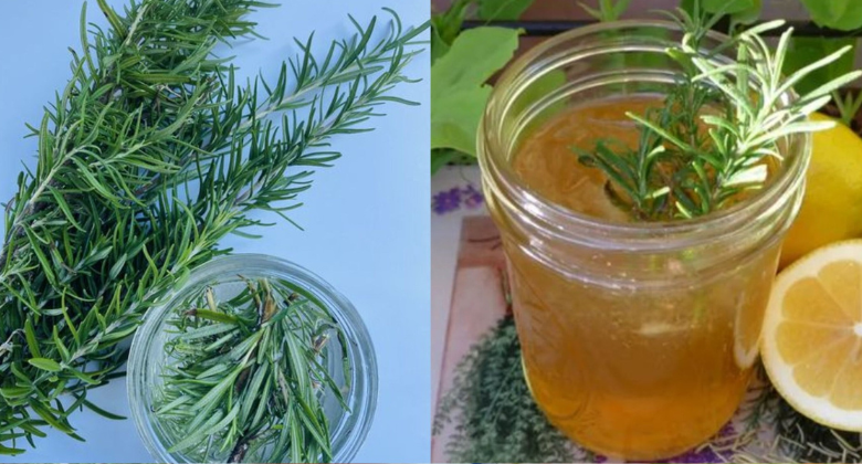 discover-the-benefits-of-rosemary-tea:-a-refreshing-boost-for-your-wellbeing