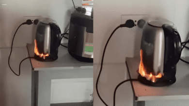 using-an-electric-kettle-to-boil-water,-9-out-of-10-households-make-this-mistake