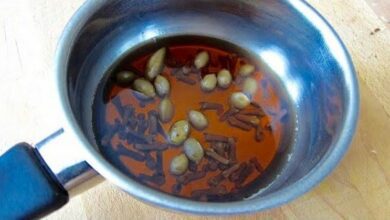 discover-the-benefits-of-clove-and-cardamom-tea:-a-7-day-journey