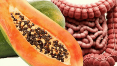 cleanse-your-body-naturally-with-papaya-seeds:-a-simple-and-effective-remedy