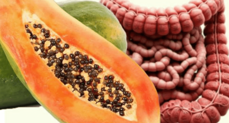 cleanse-your-body-naturally-with-papaya-seeds:-a-simple-and-effective-remedy