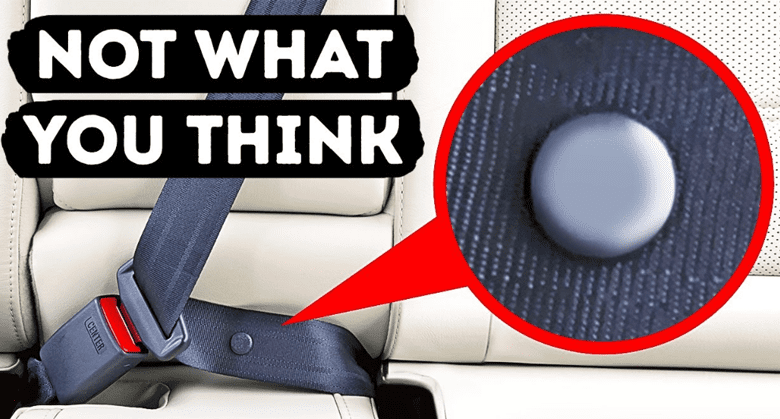 what’s-the-purpose-of-that-tiny-button-on-your-seat-belt?