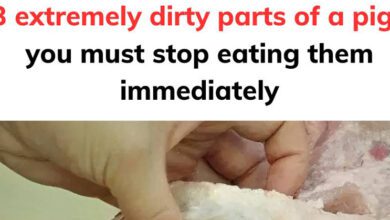 3-extremely-dirty-parts-of-a-pig,-you-must-stop-eating-them-as-soon-as-possible