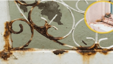 how-to-remove-rust-from-doors-and-windows-without-painting-them:-4-easy-tips