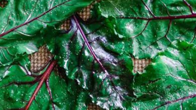 beet-leaves:-a-hidden-gem-in-your-vegetable-drawer