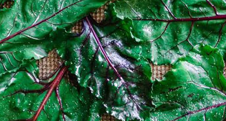 beet-leaves:-a-hidden-gem-in-your-vegetable-drawer