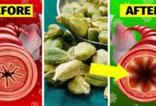 eat-1-gram-of-cardamom-every-day,-see-what-happens-to-your-body