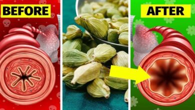 eat-1-gram-of-cardamom-every-day,-see-what-happens-to-your-body