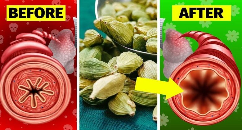 eat-1-gram-of-cardamom-every-day,-see-what-happens-to-your-body