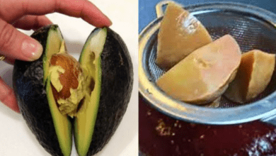 the-hidden-health-benefits-of-avocado-seeds:-why-you-shouldn’t-discard-them-