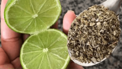 immune-boosting-lemon-and-oregano-tea