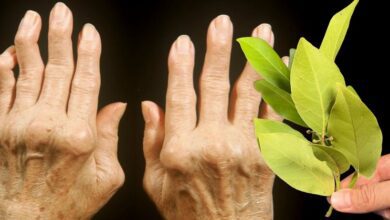 applying-bay-leaves-to-joints:-a-natural-remedy-for-pain-relief