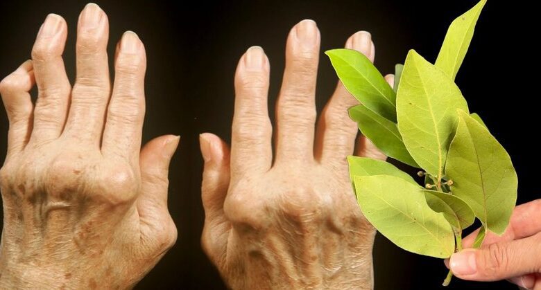 applying-bay-leaves-to-joints:-a-natural-remedy-for-pain-relief