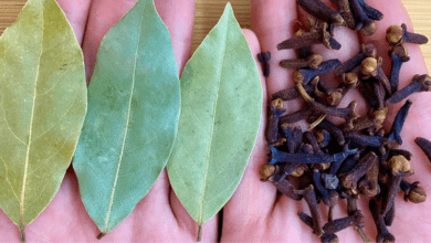 cloves-and-bay-leaves:-the-benefits