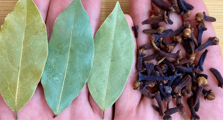 cloves-and-bay-leaves:-the-benefits