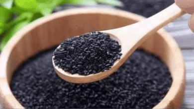 black-seed-and-honey-to-boost-immunity-and-healing