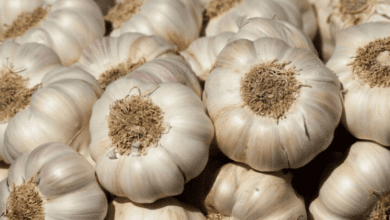 8-people-who-are-forbidden-to-eat-garlic