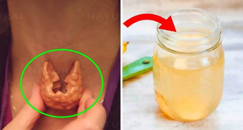 this-miraculous-drink-will-work-wonders-for-your-thyroid:-ginger-and-coconut-oil