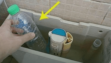 put-a-plastic-bottle-in-the-toilet-tank