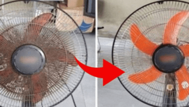 how-to-clean-an-electric-fan