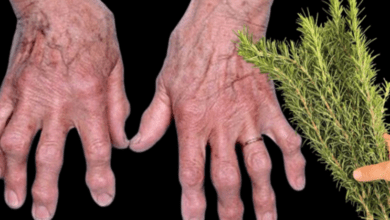 apply-rosemary-to-your-joints:-feel-young-and-energized-again!