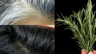 rosemary-for-hair:-turn-white-hair-black,-stop-hair-loss,-and-revive-damaged-hair-