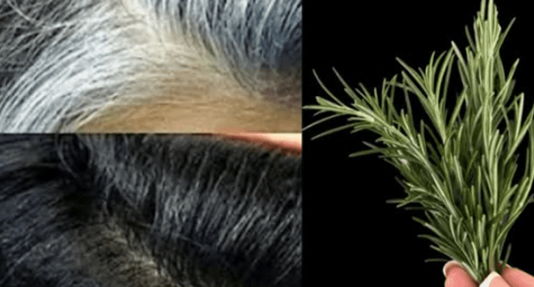 rosemary-for-hair:-turn-white-hair-black,-stop-hair-loss,-and-revive-damaged-hair-