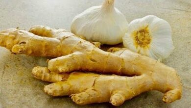 eat-garlic-and-ginger-every-morning:-discover-the-amazing-benefits-for-your-body!