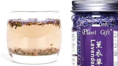 the-surprising-benefits-of-drinking-lavender-tea-for-15-consecutive-days