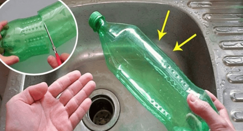 cut-the-plastic-bottle-in-half-and-place-it-in-the-sink