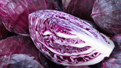 forget-blood-sugar-problems!-red-cabbage-is-a-real-treasure-for-your-health