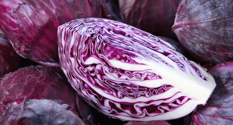 forget-blood-sugar-problems!-red-cabbage-is-a-real-treasure-for-your-health