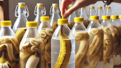 banana-peels,-don’t-throw-them-away:-soak-them-in-vinegar-and-see-the-results