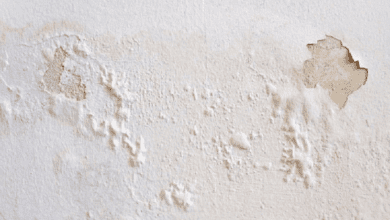 how-to-fix-moldy-or-peeling-walls-in-a-few-minutes-without-hiring-a-technician